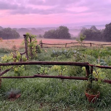 La Roulotte Du Chateau De Framboise Dumes Buitenkant foto